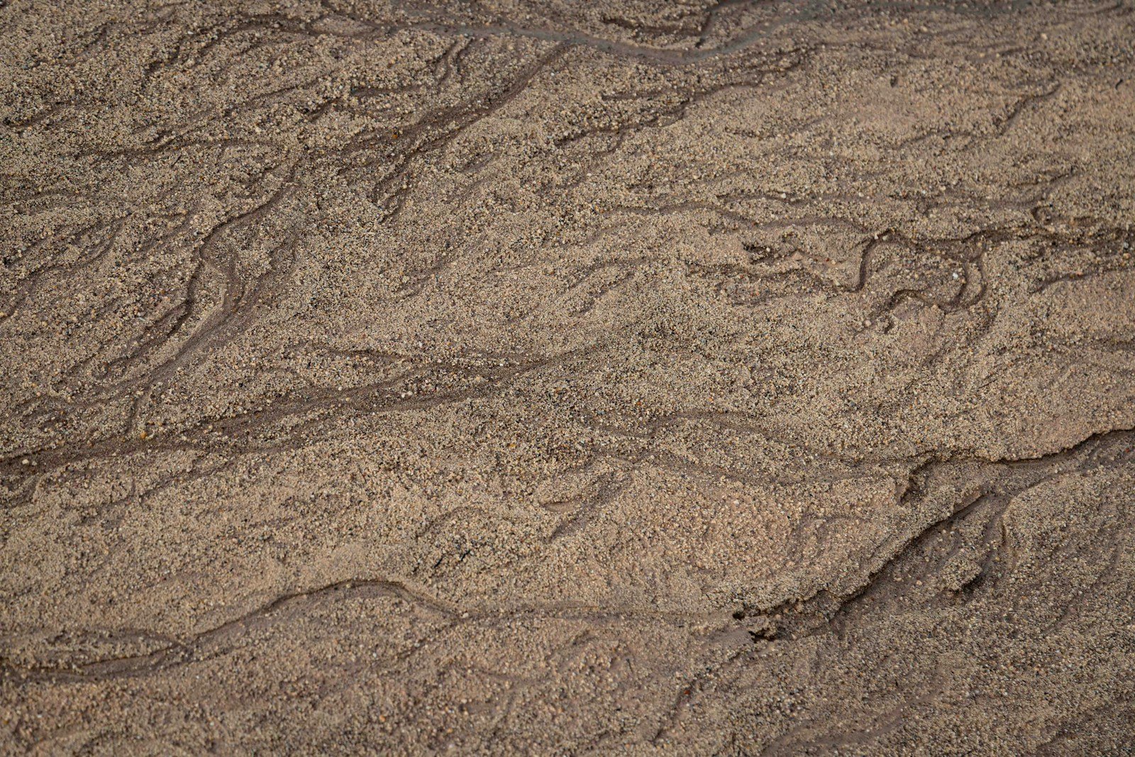 a bird is standing on the sand near the water